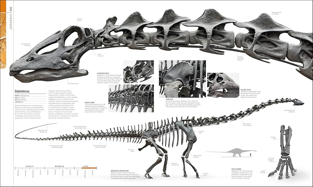 Dinosaurs and Prehistoric Life: The Definitive Visual Guide